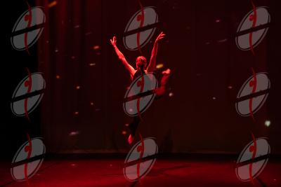 SHOW_02268.jpg